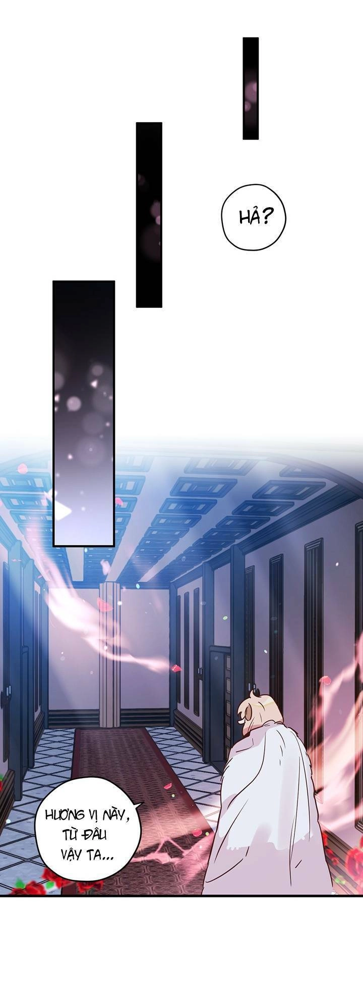 Hãy Dậy Đi Hỡi Chiến Binh Chapter 23 - 32