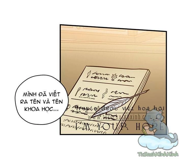 Hãy Dậy Đi Hỡi Chiến Binh Chapter 30 - 29