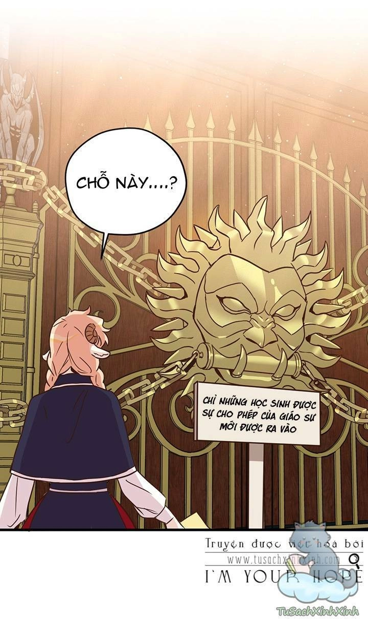 Hãy Dậy Đi Hỡi Chiến Binh Chapter 33 - 43