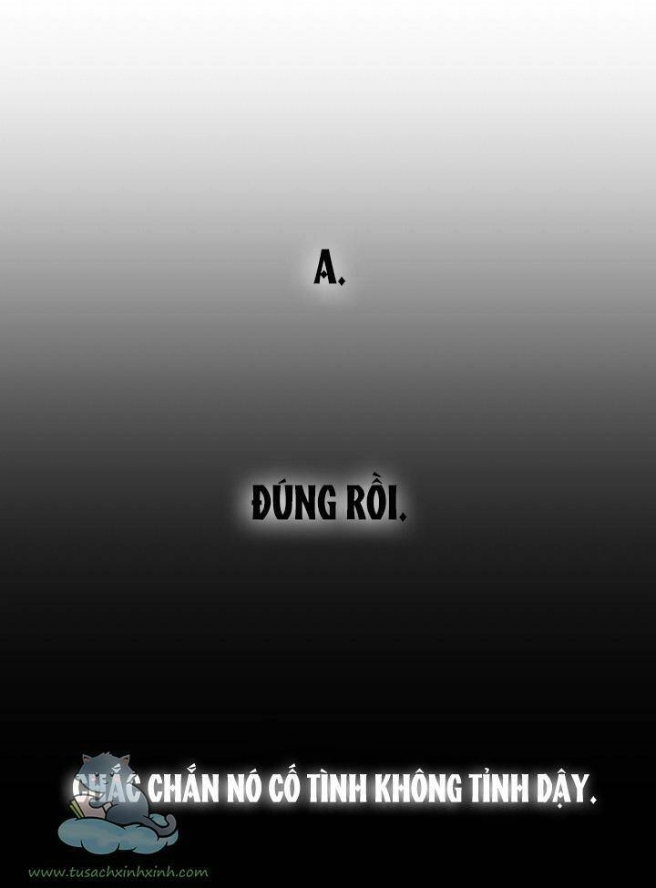 Hãy Dậy Đi Hỡi Chiến Binh Chapter 40 - 27