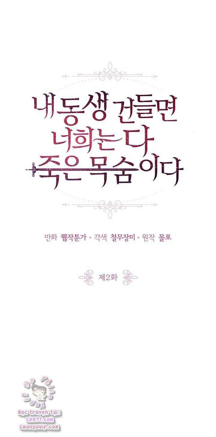 Đừng Đụng Vào Em Trai Ta Chapter 2 - 9