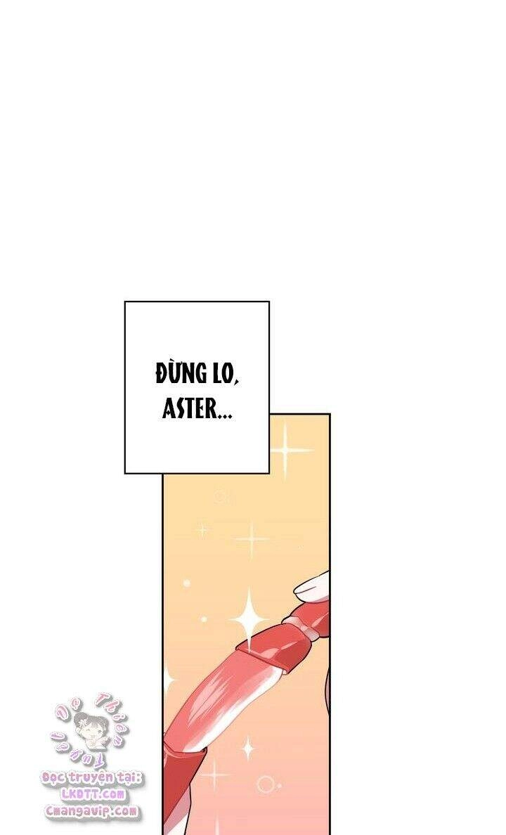 Đừng Đụng Vào Em Trai Ta Chapter 8 - 26