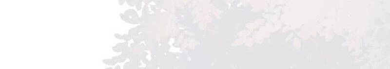 Vua Đầu Tư Mạnh Nhất Chapter 72 - 16