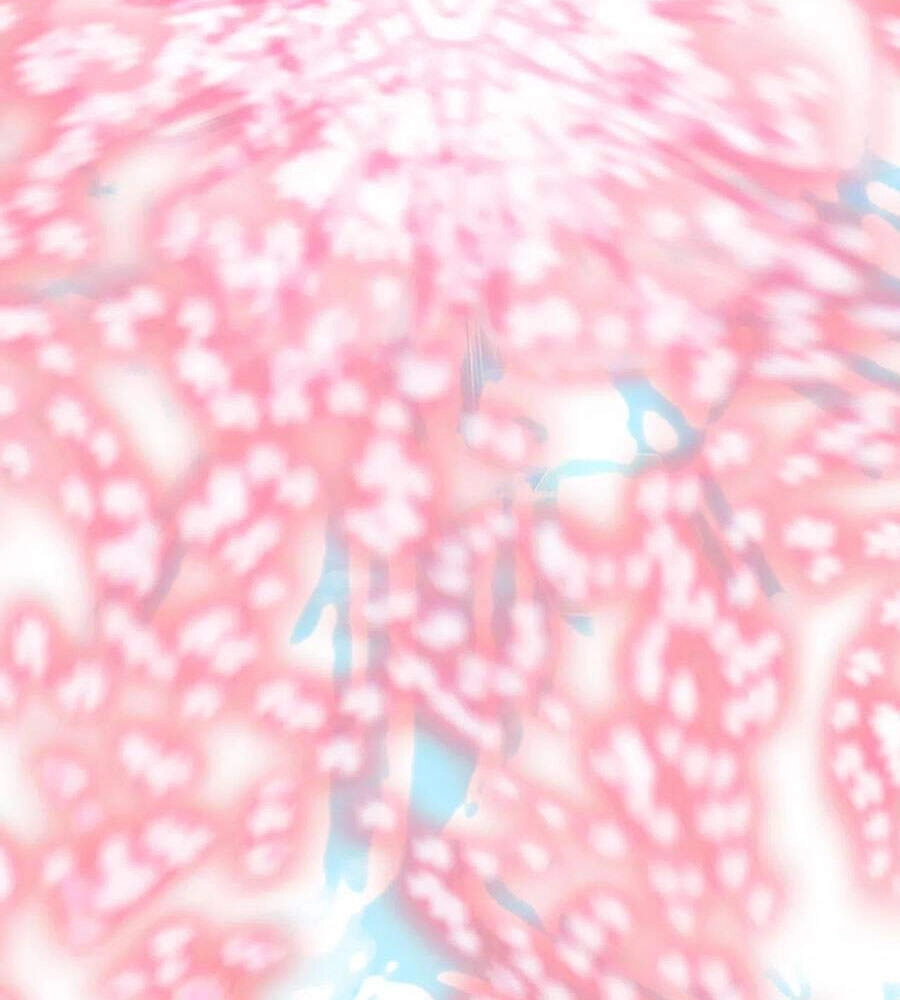 Học Sĩ Tái Sinh Chapter 189 - 40