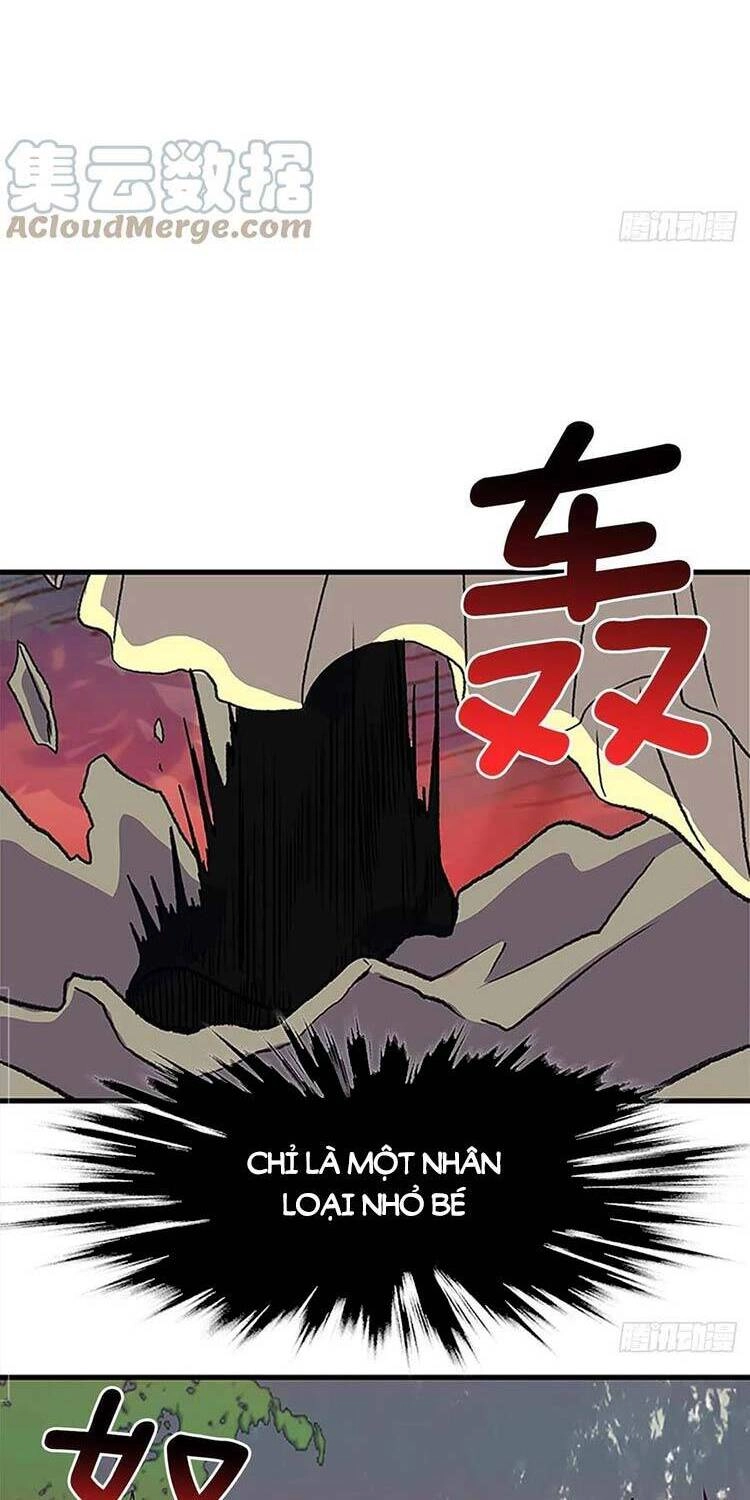 Học Sĩ Tái Sinh Chapter 242 - 14