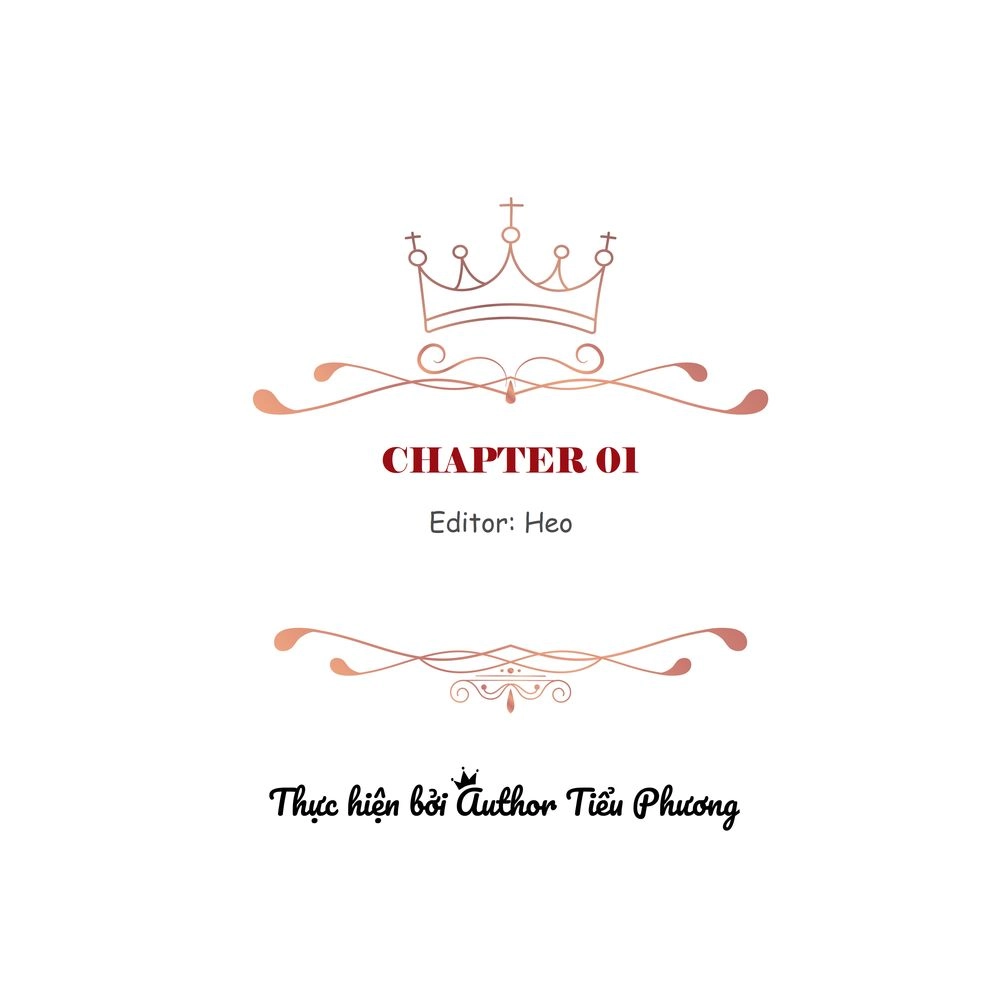 Cuộc Hôn Nhân Giả Dối Chapter 1 - 3