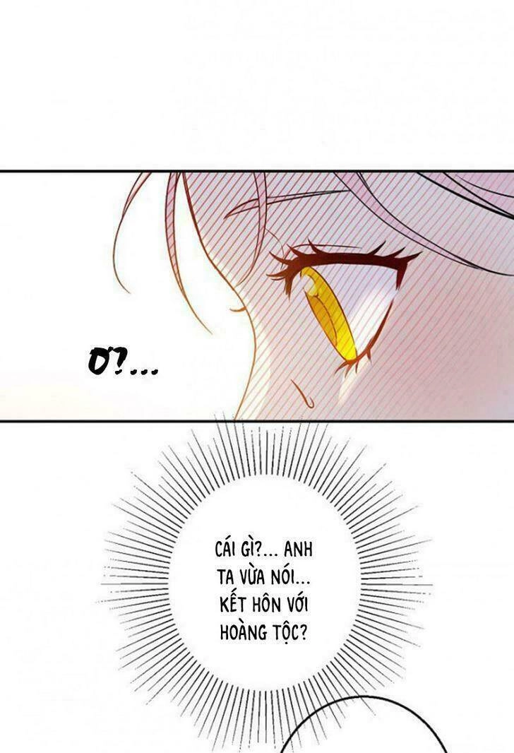 Cuộc Hôn Nhân Giả Dối Chapter 2 - 37