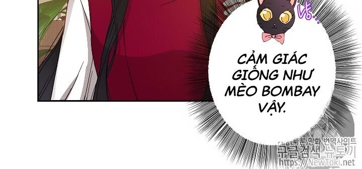 Cuộc Hôn Nhân Giả Dối Chapter 25 - 53