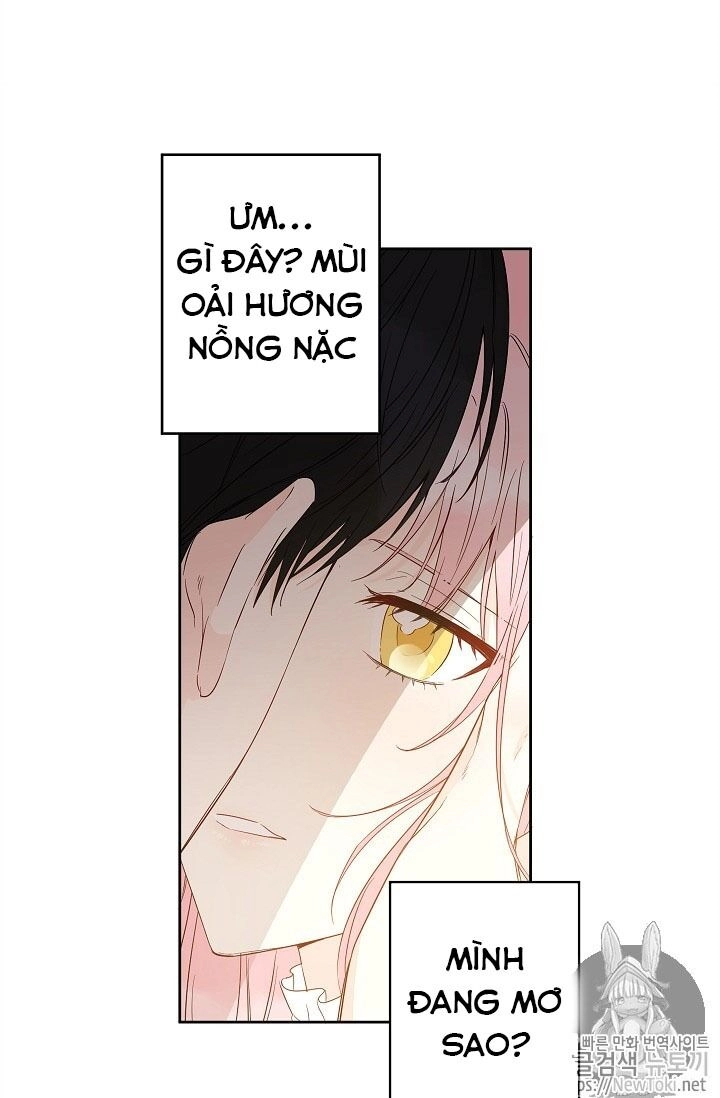 Cuộc Hôn Nhân Giả Dối Chapter 28 - 14