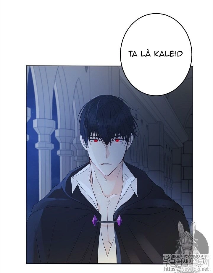 Cuộc Hôn Nhân Giả Dối Chapter 28 - 37