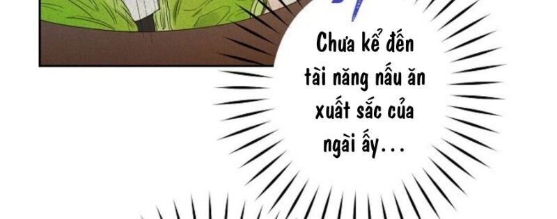 Cuộc Hôn Nhân Giả Dối Chapter 34 - 31