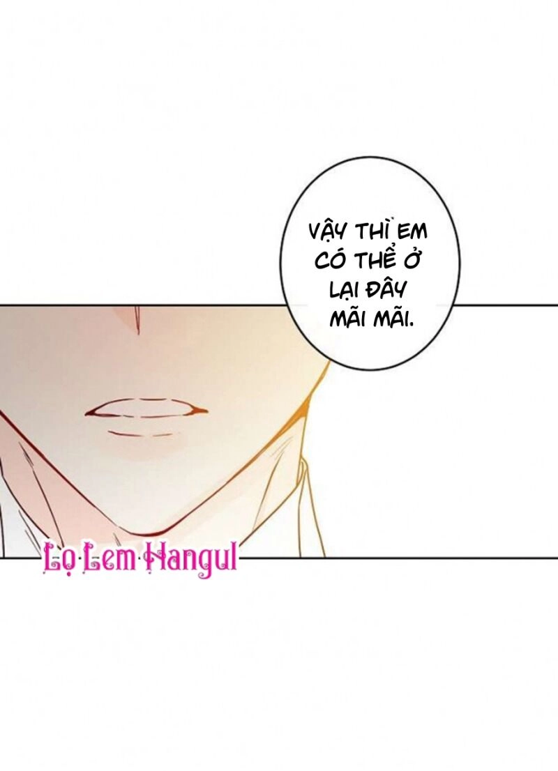 Cuộc Hôn Nhân Giả Dối Chapter 39 - 72