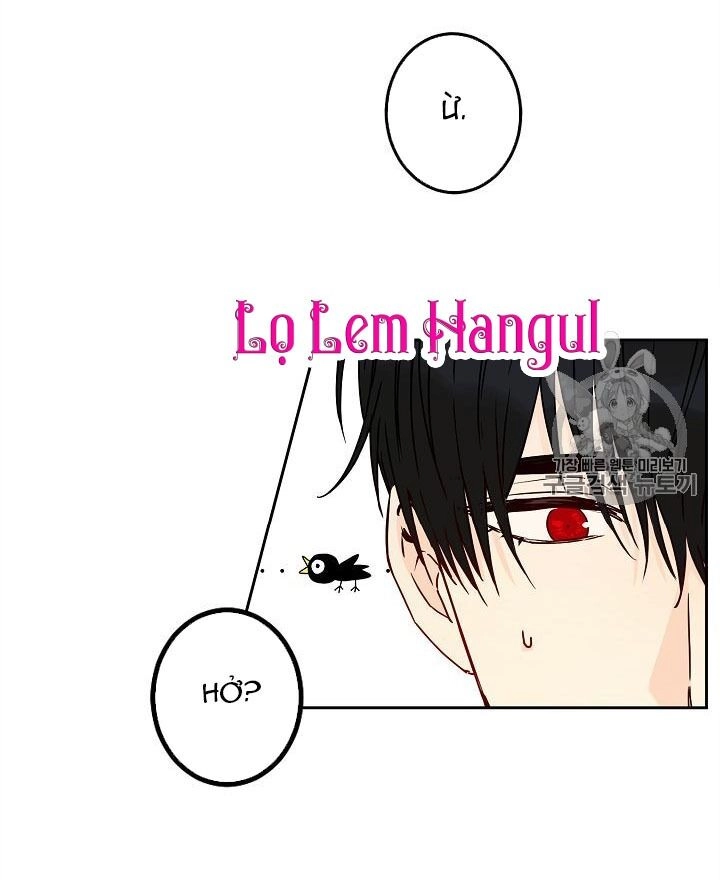 Cuộc Hôn Nhân Giả Dối Chapter 41 - 40