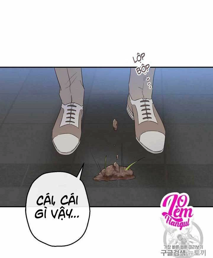 Cuộc Hôn Nhân Giả Dối Chapter 57 - 35