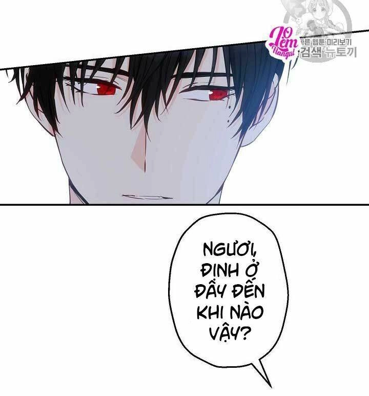 Cuộc Hôn Nhân Giả Dối Chapter 57 - 41