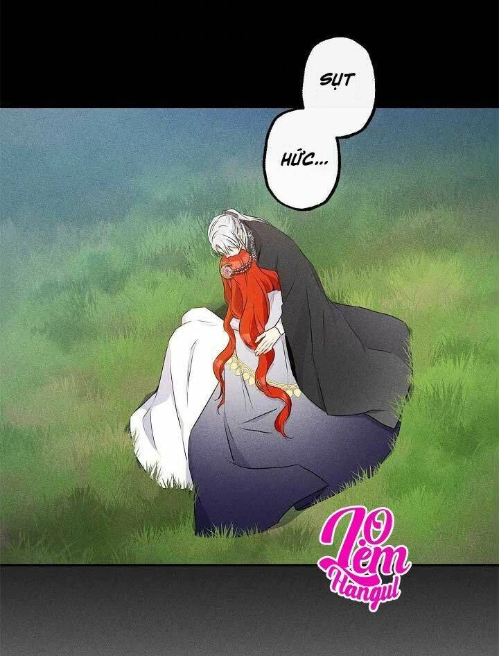 Cuộc Hôn Nhân Giả Dối Chapter 65 - 51