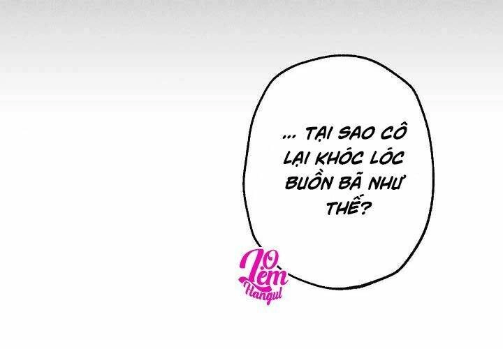 Cuộc Hôn Nhân Giả Dối Chapter 65 - 52