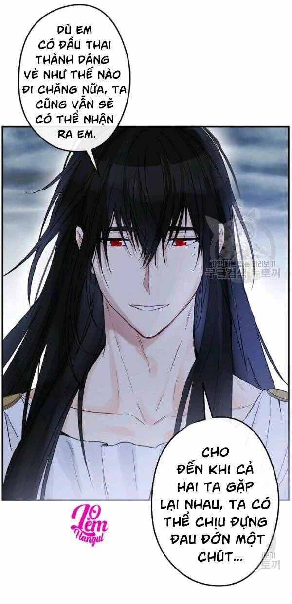 Cuộc Hôn Nhân Giả Dối Chapter 73 - 41