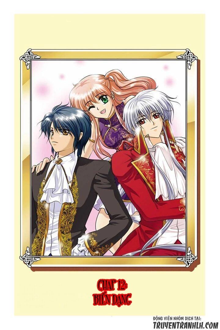 Concerto For Dark Knight Chapter 12 - 5