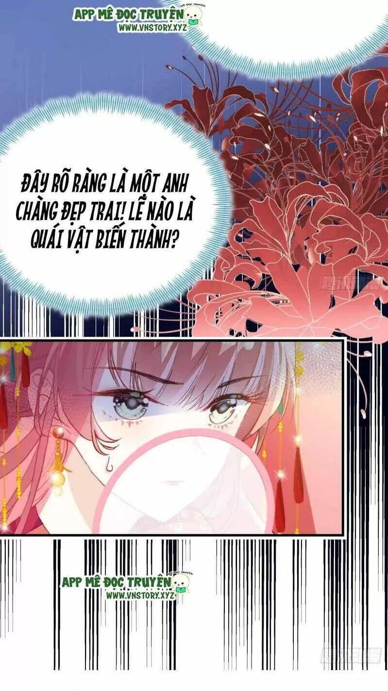 Lại Bị Bệnh Chiều Chuộng Quấn Lấy Chapter 1 - 42