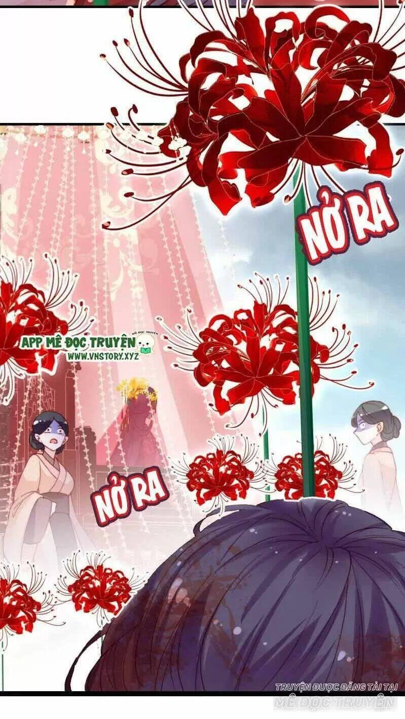 Lại Bị Bệnh Chiều Chuộng Quấn Lấy Chapter 1 - 46