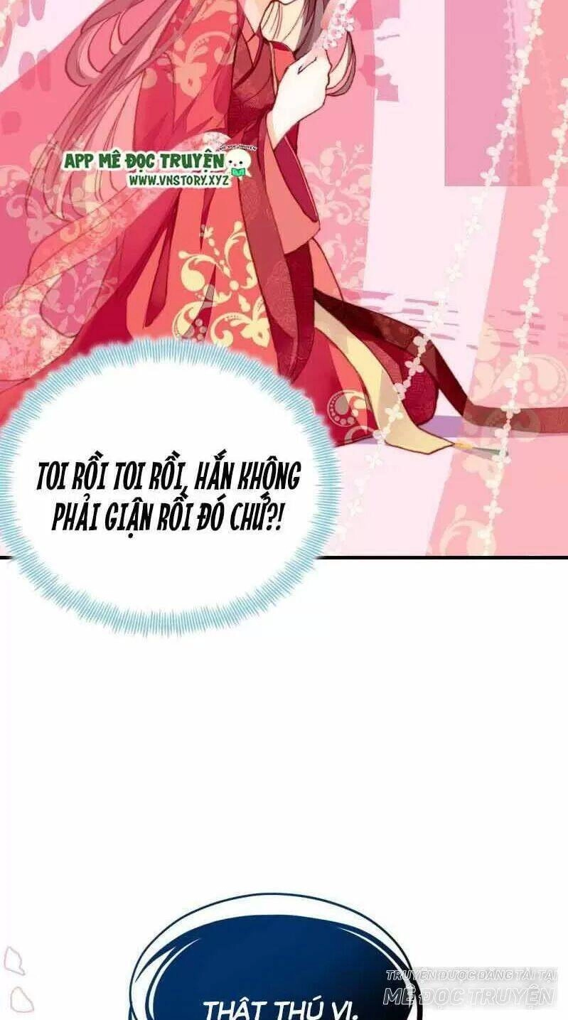 Lại Bị Bệnh Chiều Chuộng Quấn Lấy Chapter 2 - 16