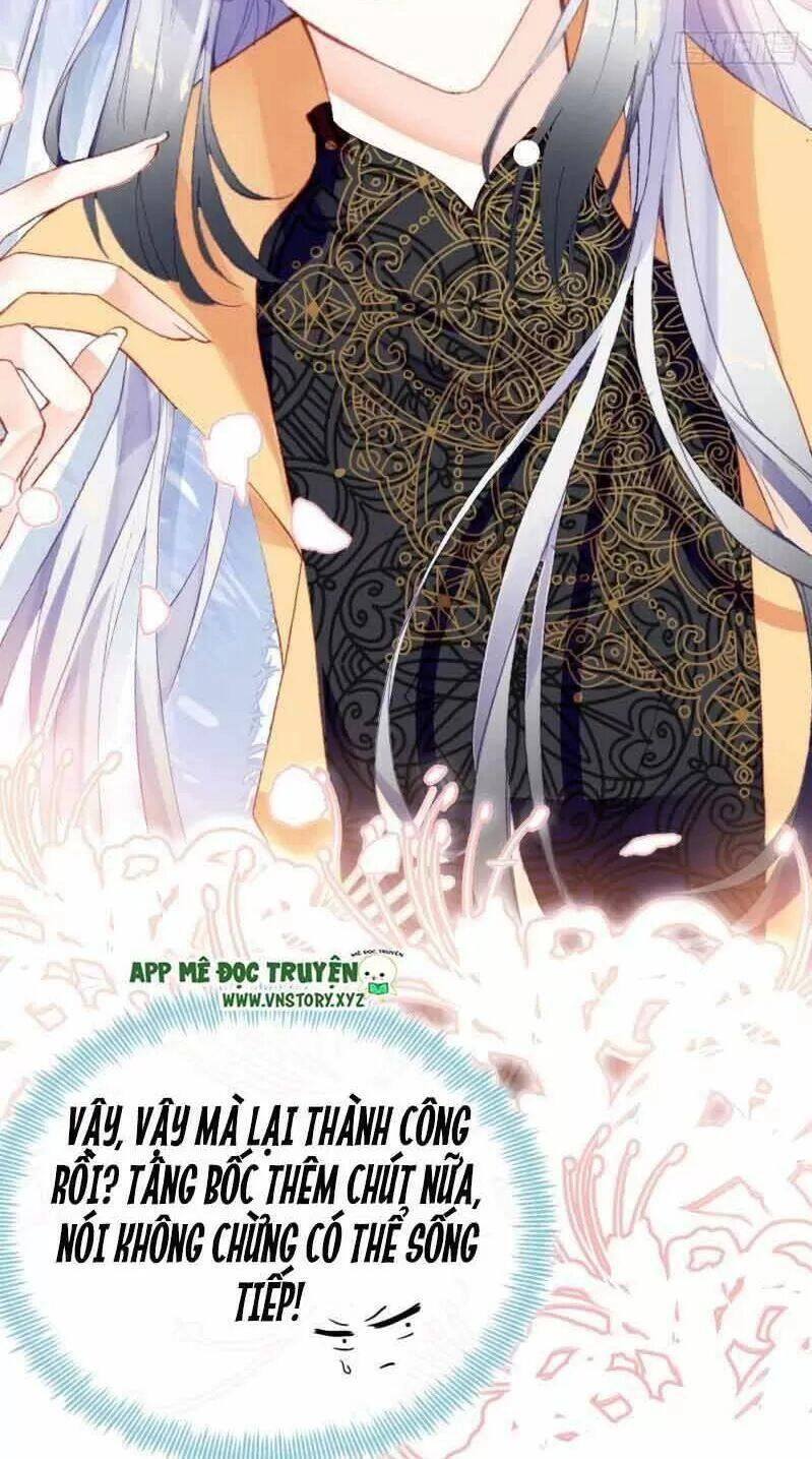 Lại Bị Bệnh Chiều Chuộng Quấn Lấy Chapter 2 - 19