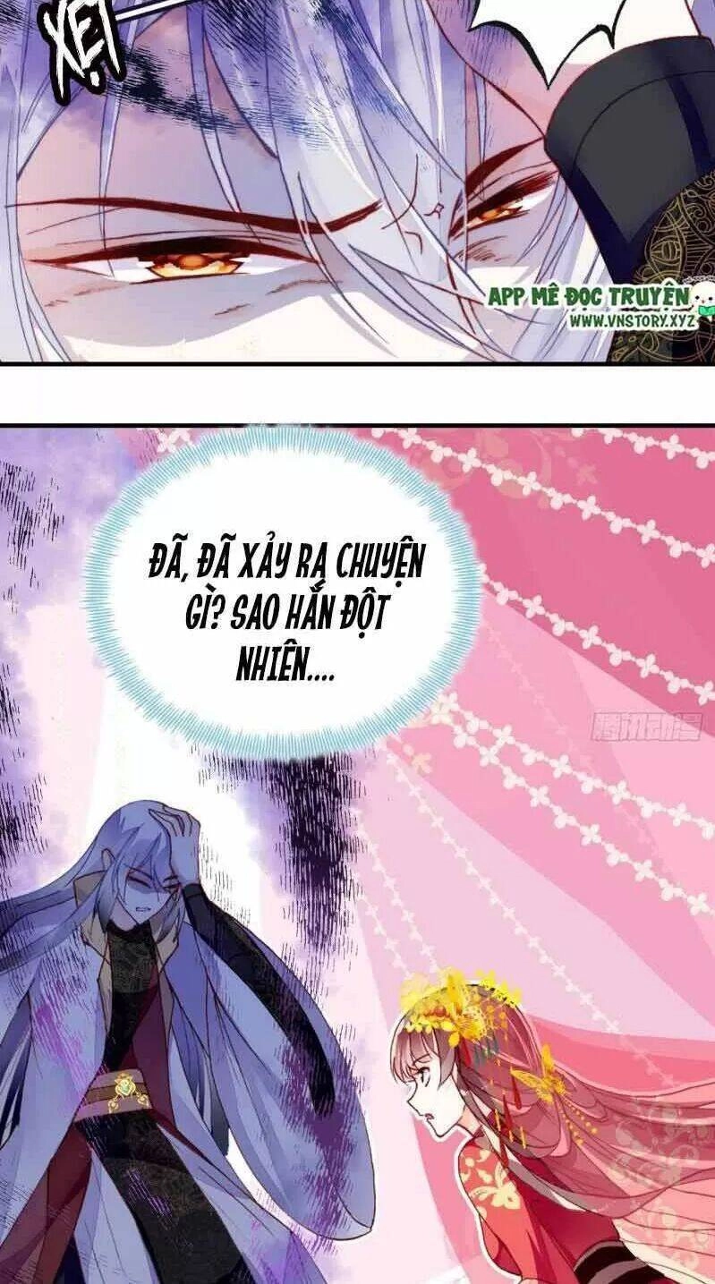 Lại Bị Bệnh Chiều Chuộng Quấn Lấy Chapter 2 - 23