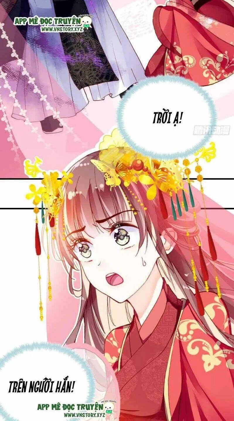 Lại Bị Bệnh Chiều Chuộng Quấn Lấy Chapter 2 - 24