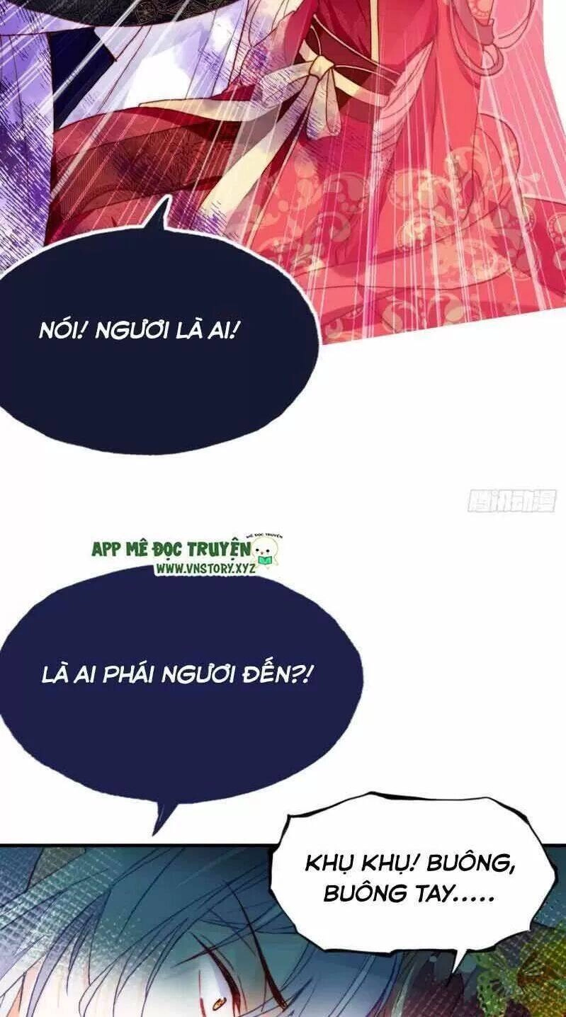 Lại Bị Bệnh Chiều Chuộng Quấn Lấy Chapter 2 - 28