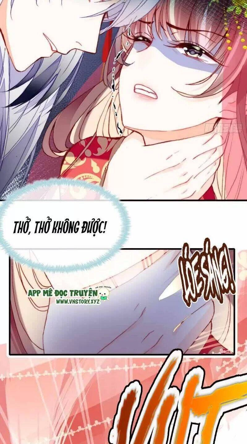 Lại Bị Bệnh Chiều Chuộng Quấn Lấy Chapter 2 - 29