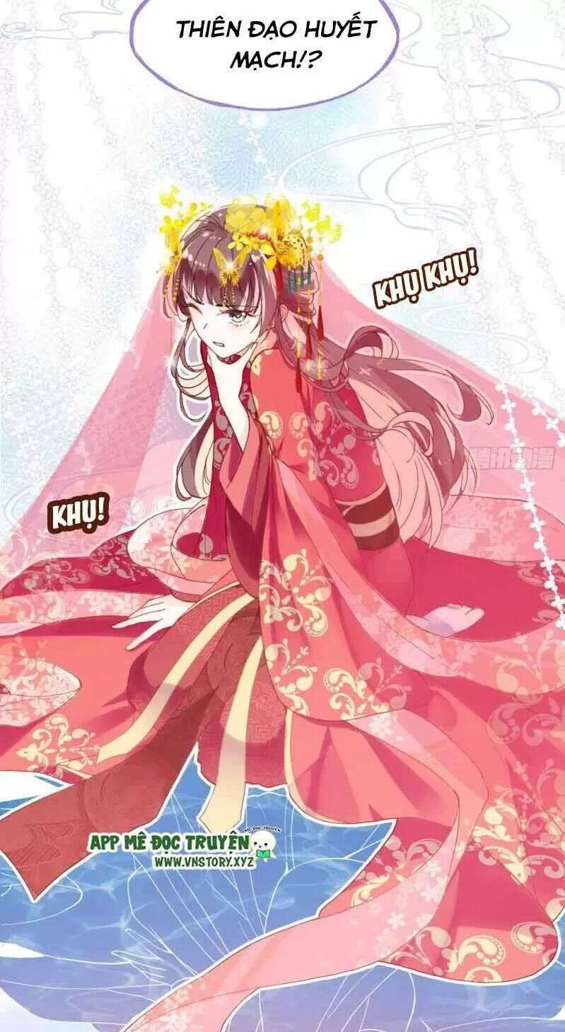 Lại Bị Bệnh Chiều Chuộng Quấn Lấy Chapter 2 - 37