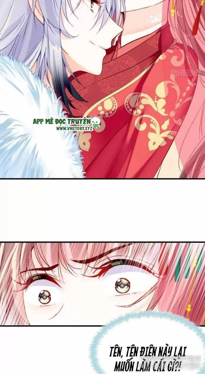 Lại Bị Bệnh Chiều Chuộng Quấn Lấy Chapter 2 - 41