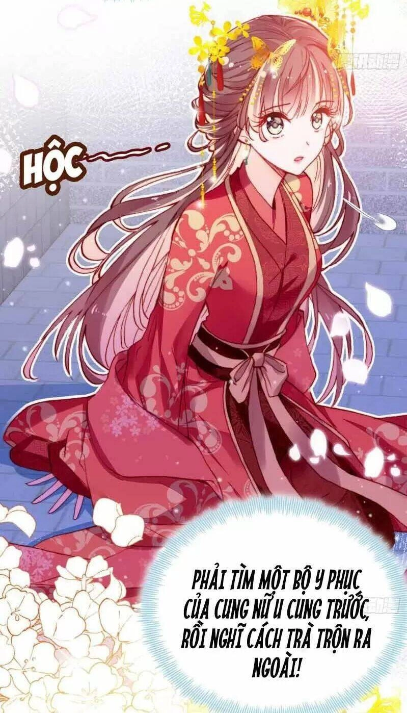 Lại Bị Bệnh Chiều Chuộng Quấn Lấy Chapter 3 - 5