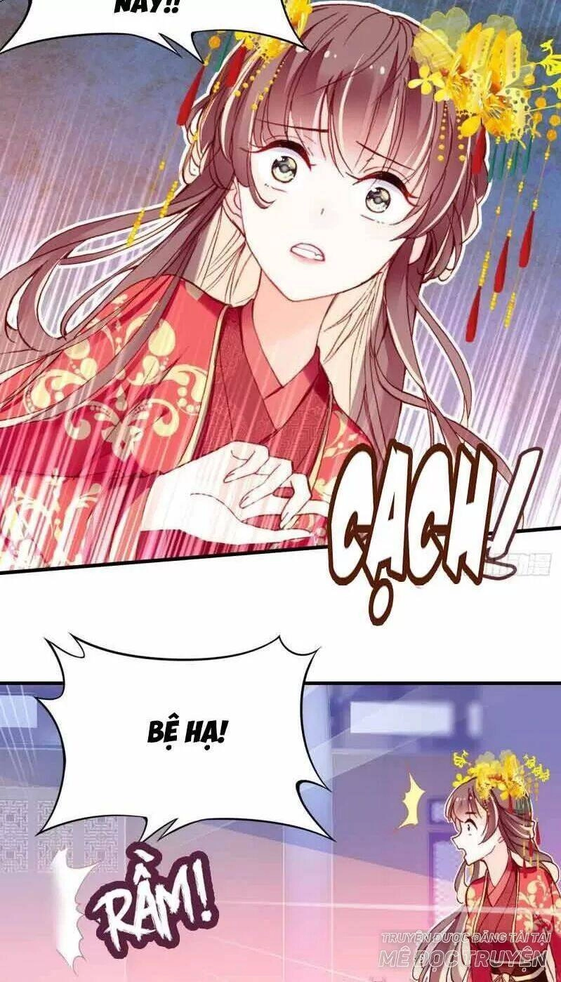 Lại Bị Bệnh Chiều Chuộng Quấn Lấy Chapter 3 - 11