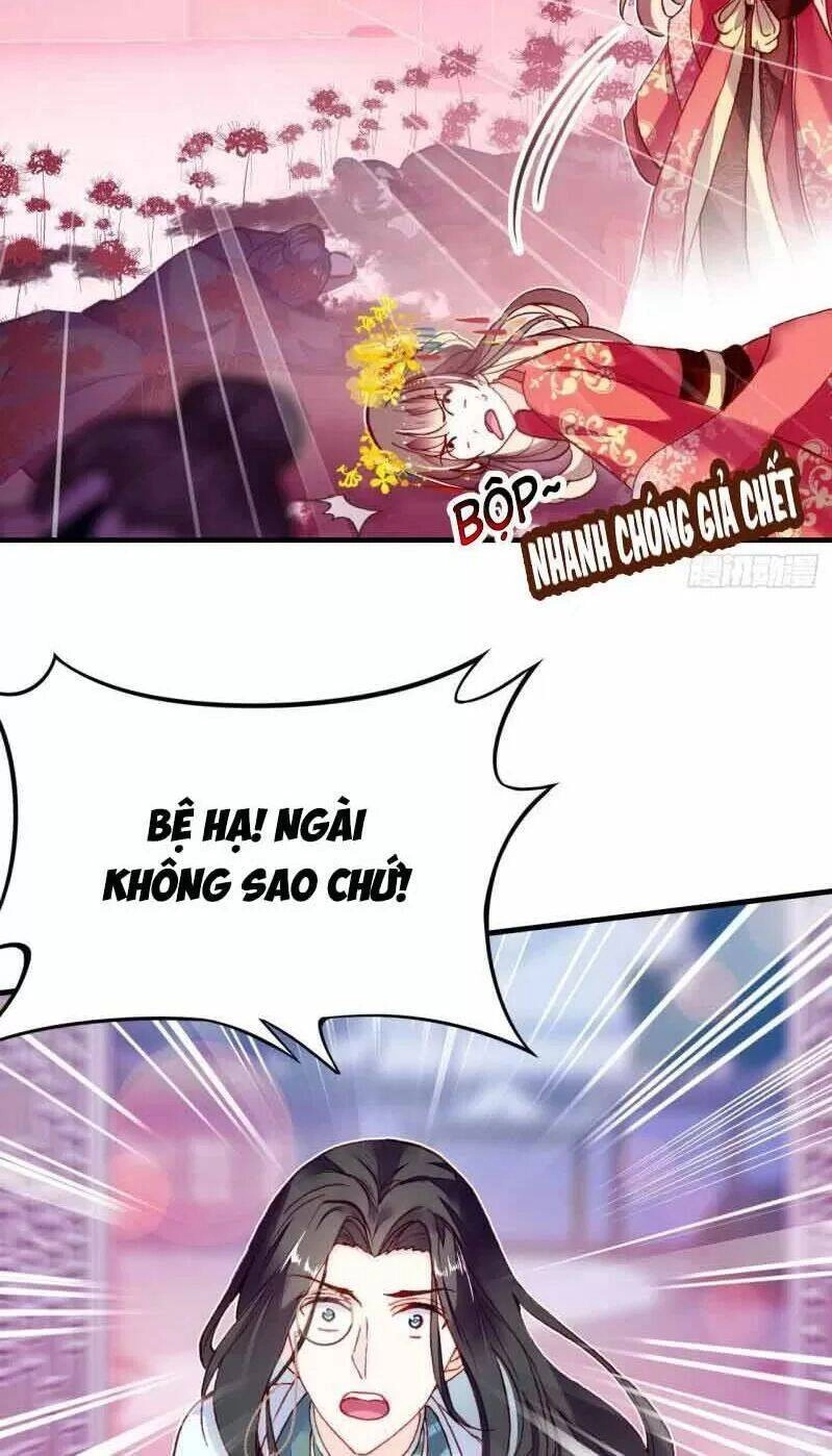 Lại Bị Bệnh Chiều Chuộng Quấn Lấy Chapter 3 - 12