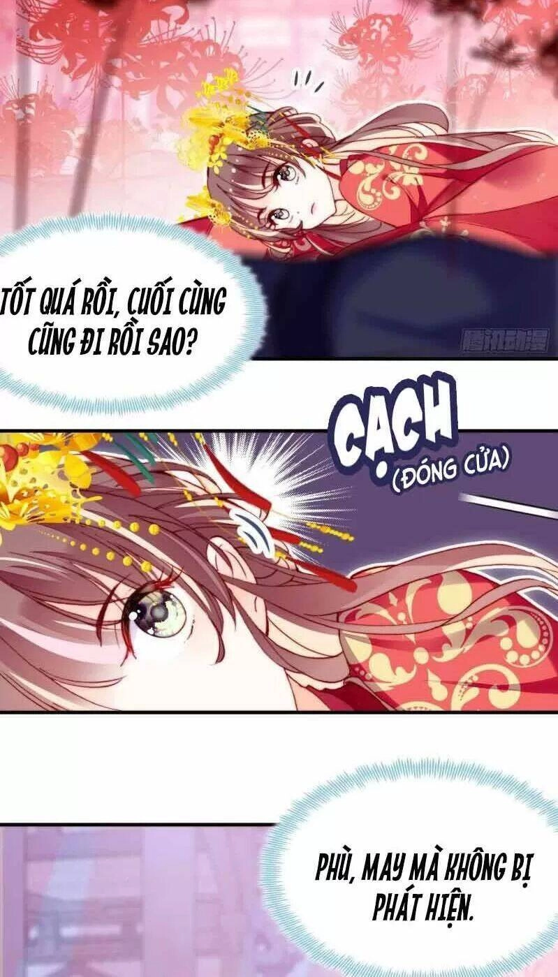 Lại Bị Bệnh Chiều Chuộng Quấn Lấy Chapter 3 - 30