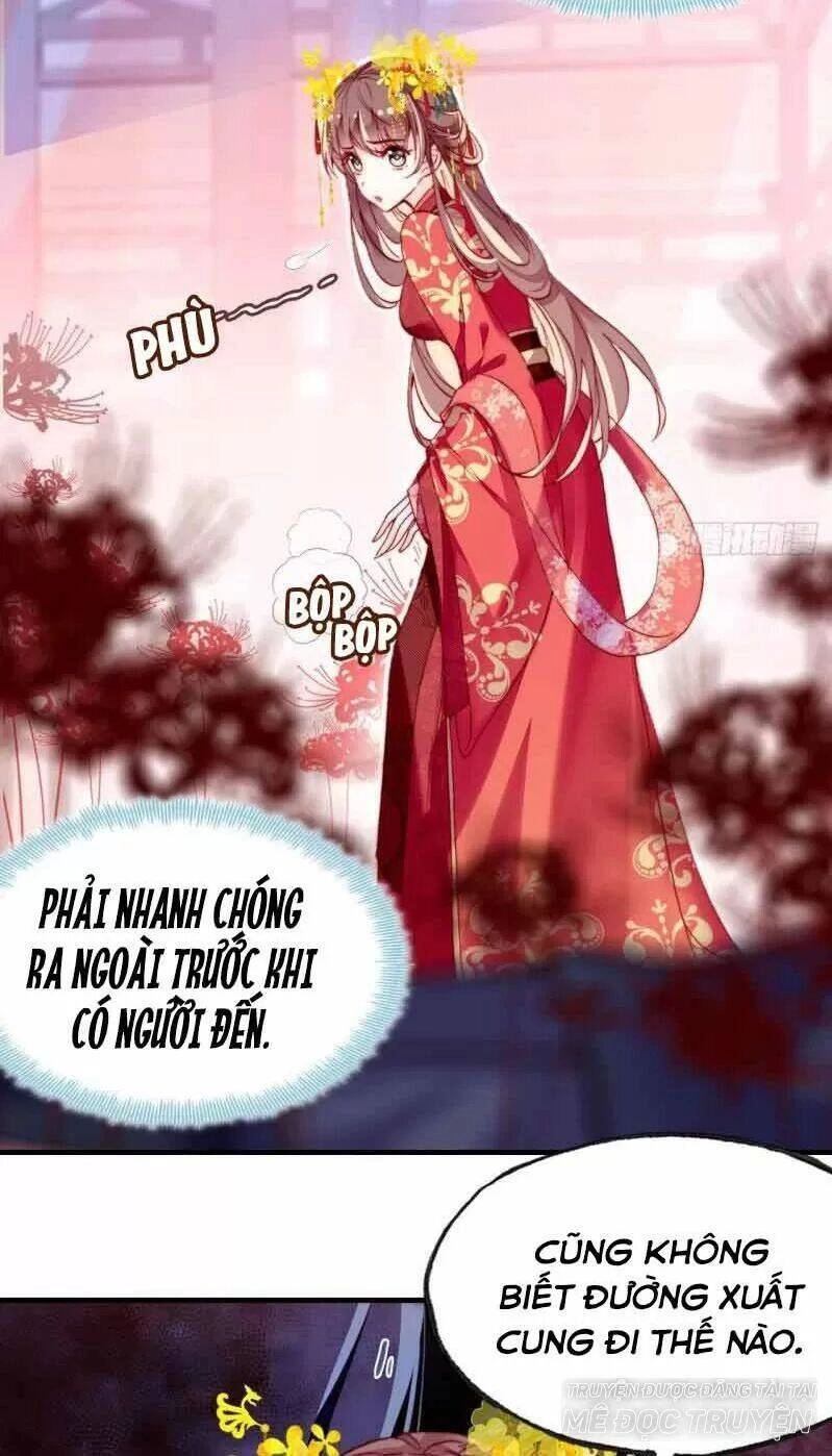 Lại Bị Bệnh Chiều Chuộng Quấn Lấy Chapter 3 - 31