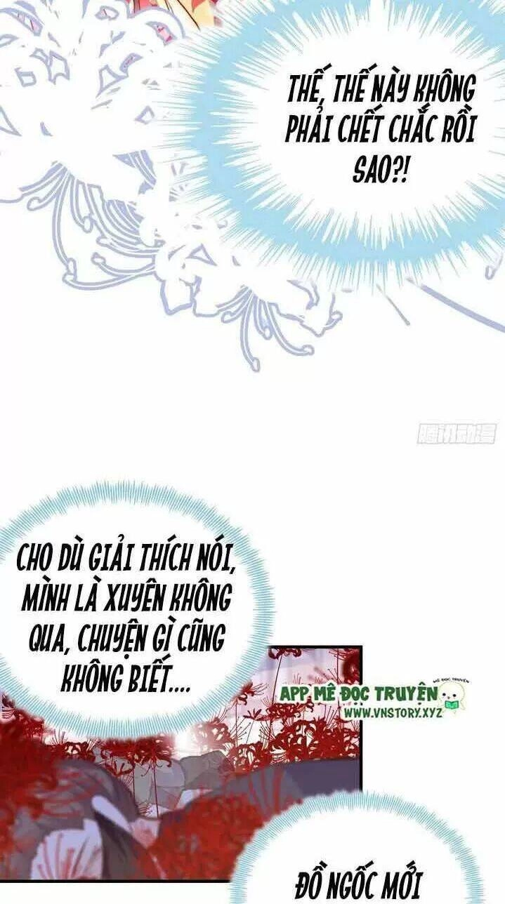 Lại Bị Bệnh Chiều Chuộng Quấn Lấy Chapter 4 - 15