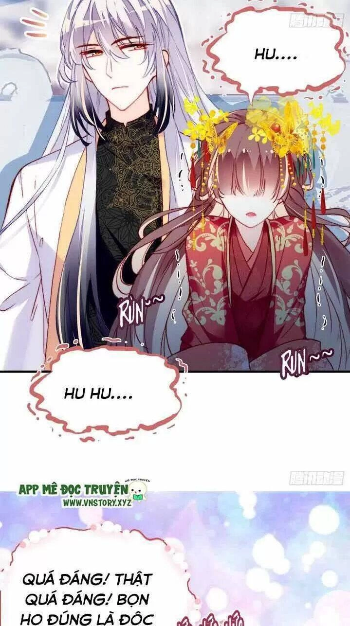 Lại Bị Bệnh Chiều Chuộng Quấn Lấy Chapter 4 - 24