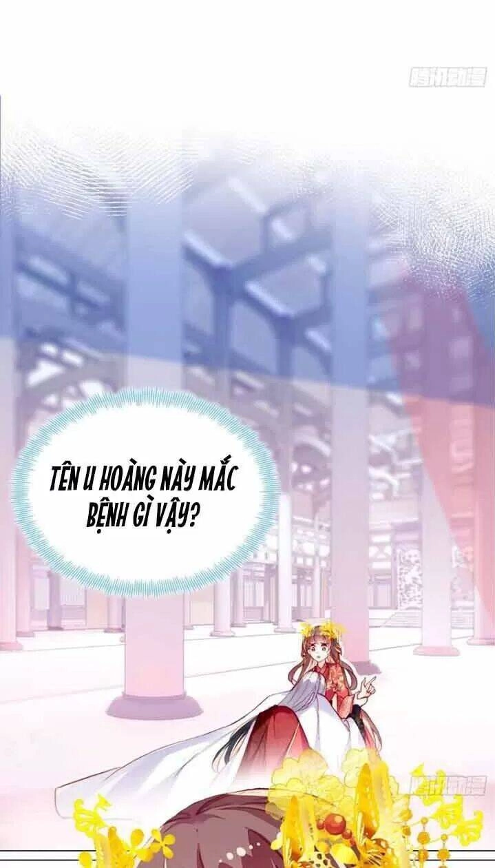 Lại Bị Bệnh Chiều Chuộng Quấn Lấy Chapter 5 - 3