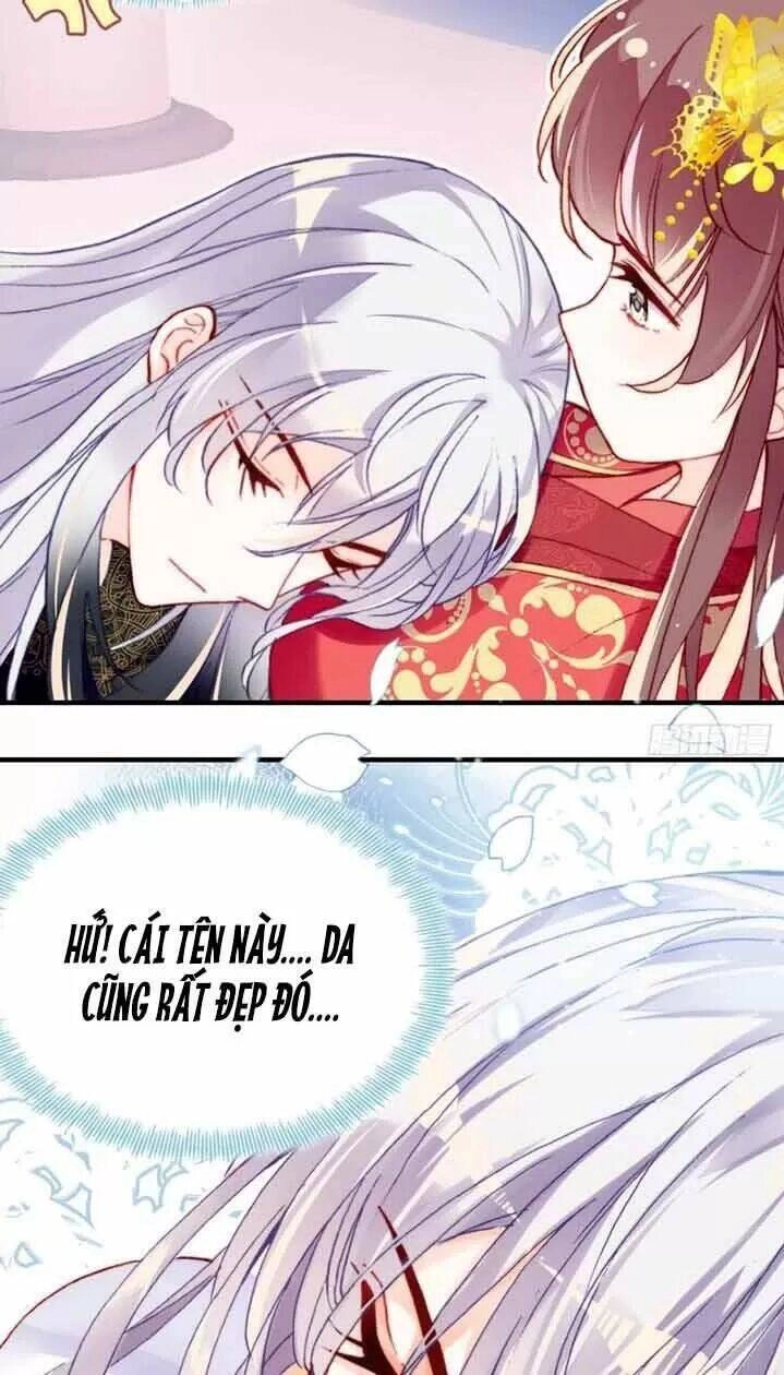 Lại Bị Bệnh Chiều Chuộng Quấn Lấy Chapter 5 - 5