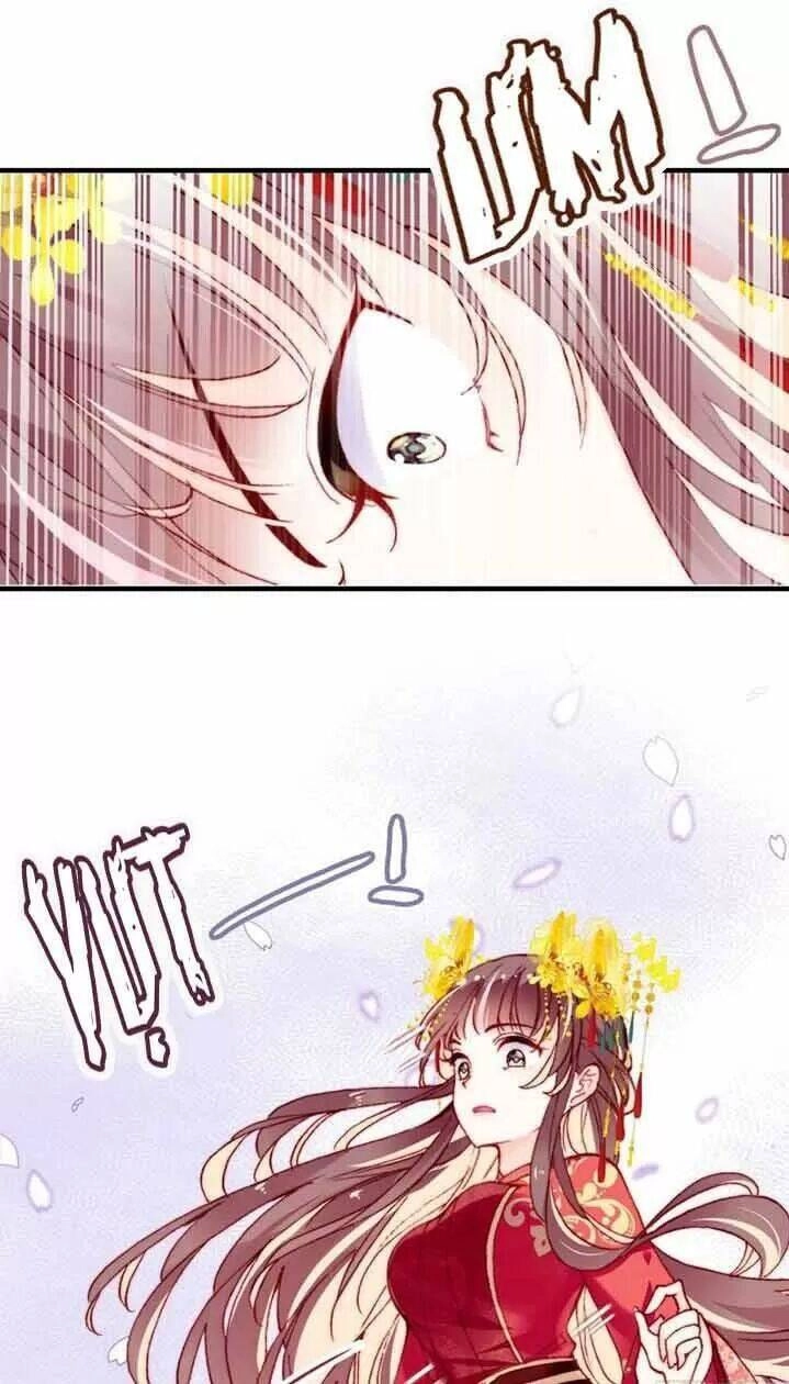 Lại Bị Bệnh Chiều Chuộng Quấn Lấy Chapter 5 - 13