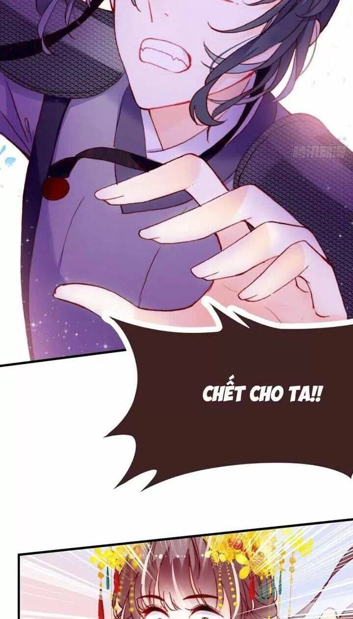 Lại Bị Bệnh Chiều Chuộng Quấn Lấy Chapter 5 - 24