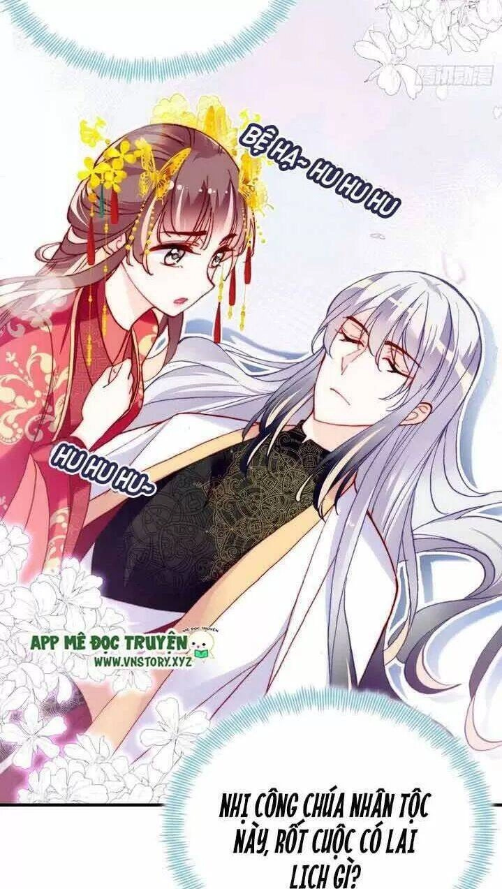 Lại Bị Bệnh Chiều Chuộng Quấn Lấy Chapter 6 - 5