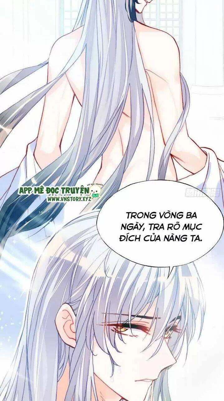 Lại Bị Bệnh Chiều Chuộng Quấn Lấy Chapter 6 - 60