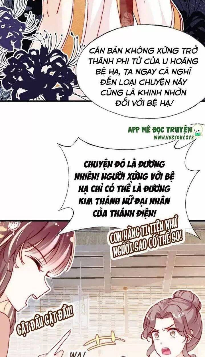 Lại Bị Bệnh Chiều Chuộng Quấn Lấy Chapter 7 - 16