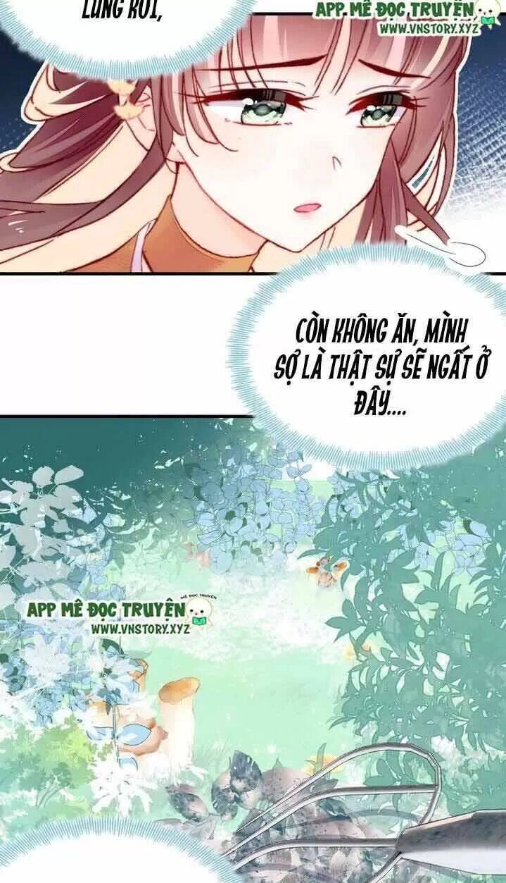 Lại Bị Bệnh Chiều Chuộng Quấn Lấy Chapter 7 - 30