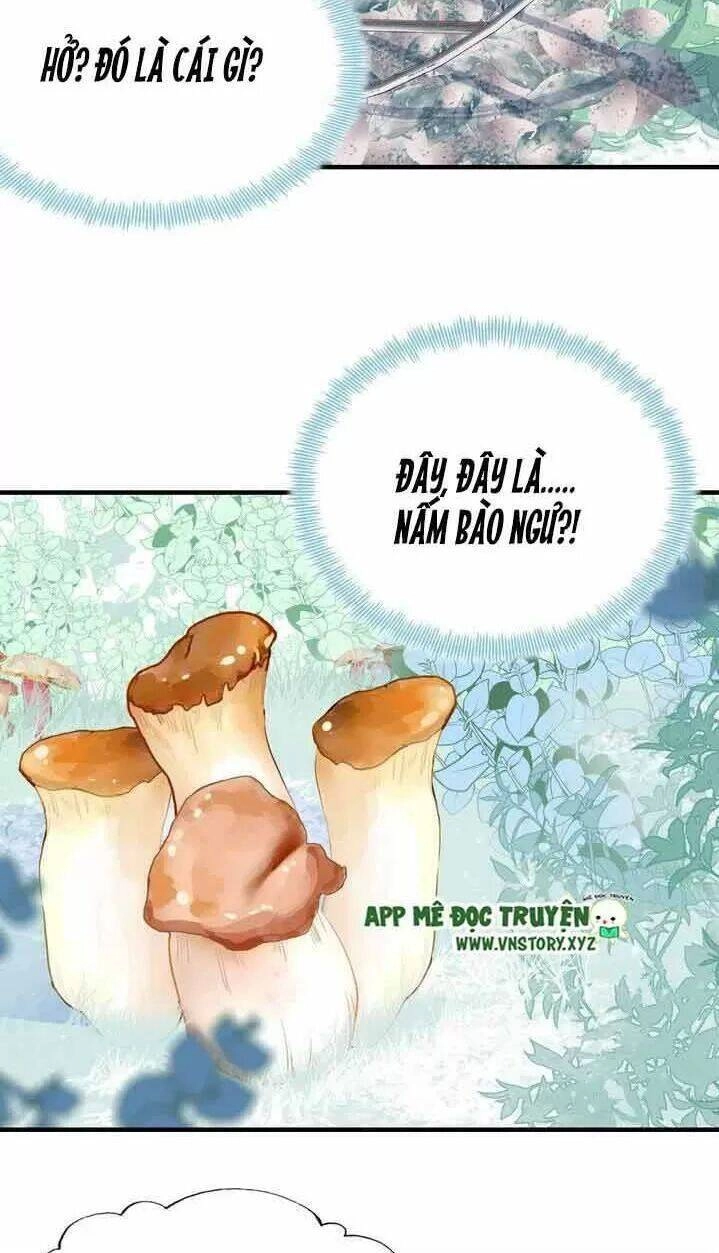 Lại Bị Bệnh Chiều Chuộng Quấn Lấy Chapter 7 - 31