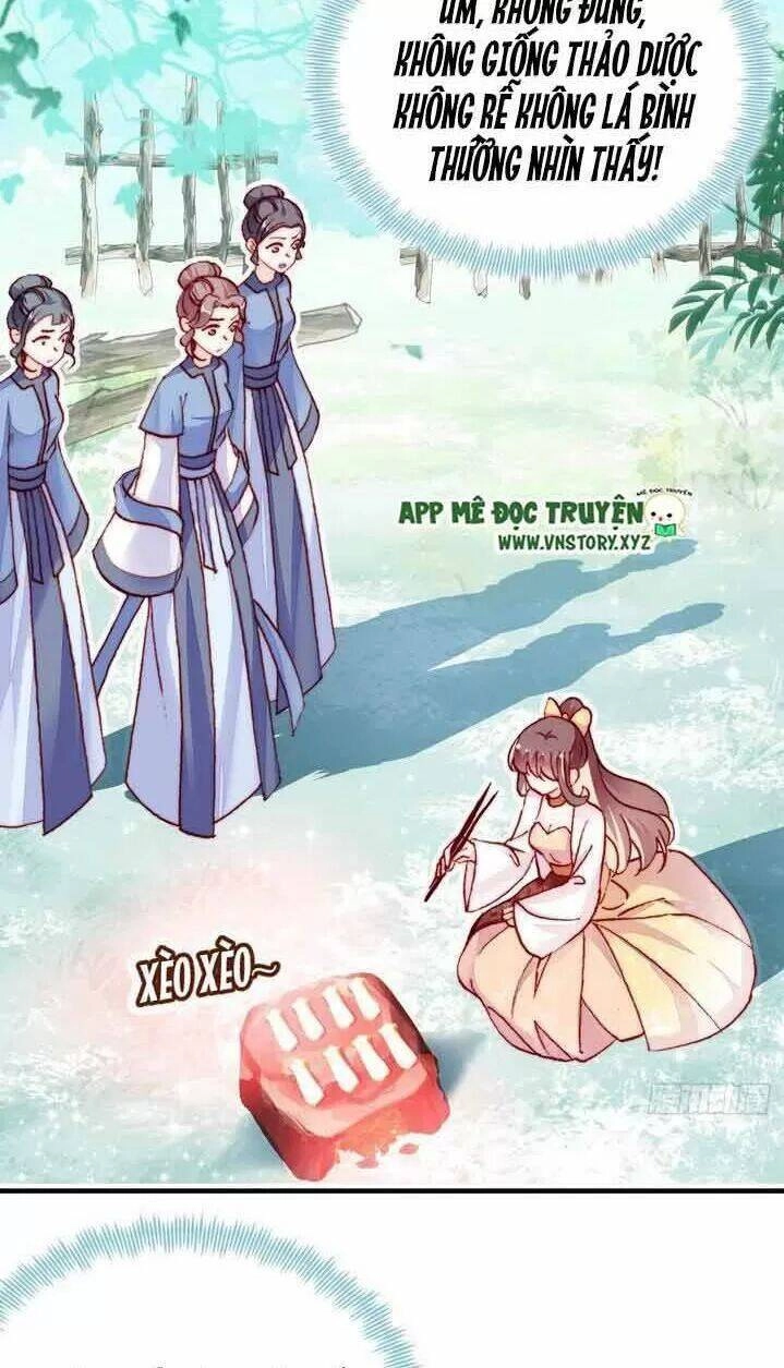 Lại Bị Bệnh Chiều Chuộng Quấn Lấy Chapter 8 - 8